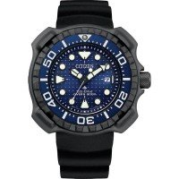 CITIZEN BN0225-04L