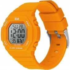 ICE-WATCH 022102